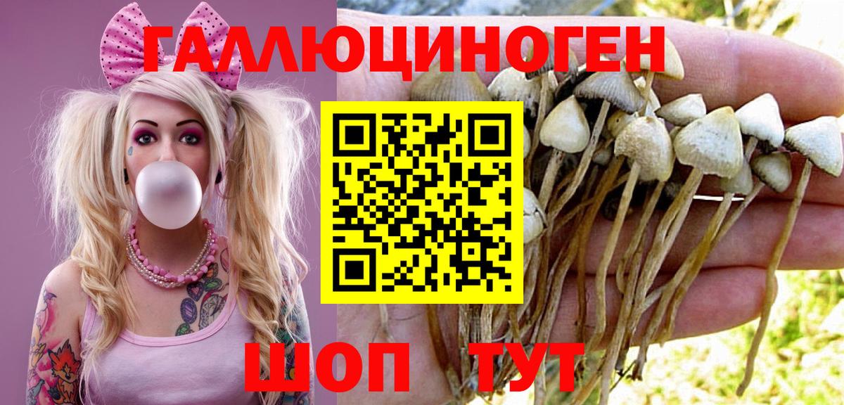 Галлюциногенные грибы GOLDEN TEACHER Темрюк