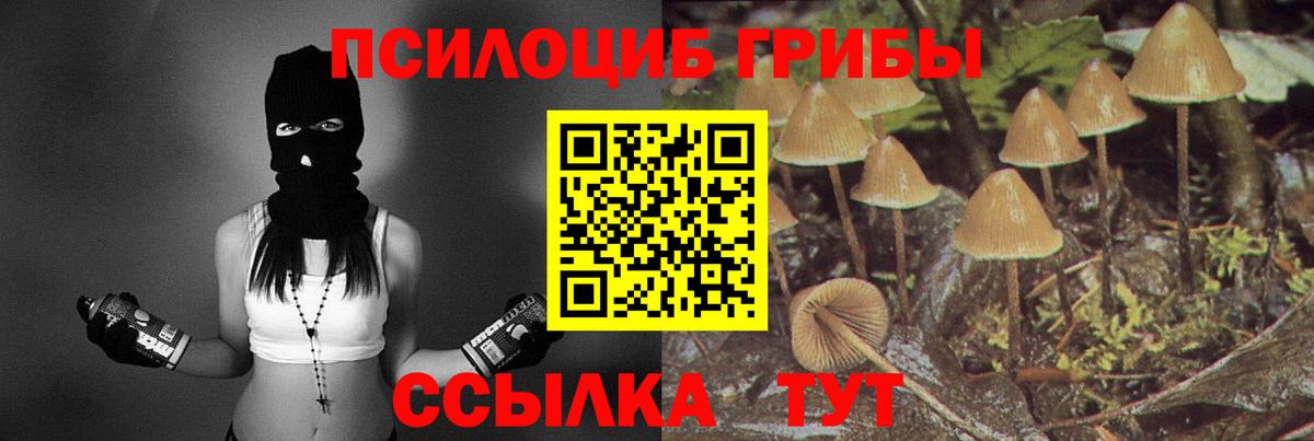 Галлюциногенные грибы Psilocybine cubensis  Вход с VPN  Темрюк  Псилоцибиновые грибы Psilocybine cubensis 